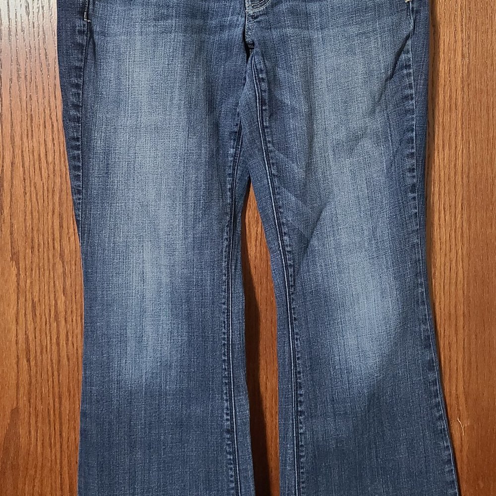 🦅 American Eagle Jeans Sz 12 LONG Artist 34/33